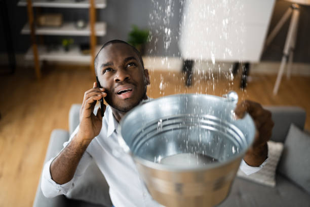 Best Water damage cleanup near me  in Linthicum, MD