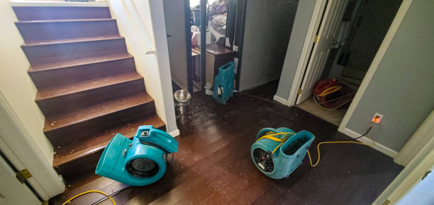 Best Mold removal after water damage  in Linthicum, MD