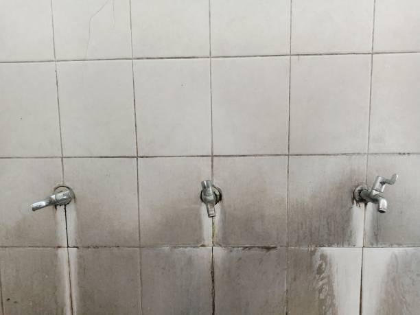 Best Residential water damage restoration  in Linthicum, MD