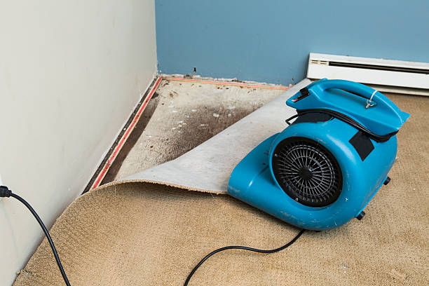 Best Basement water damage restoration  in Linthicum, MD